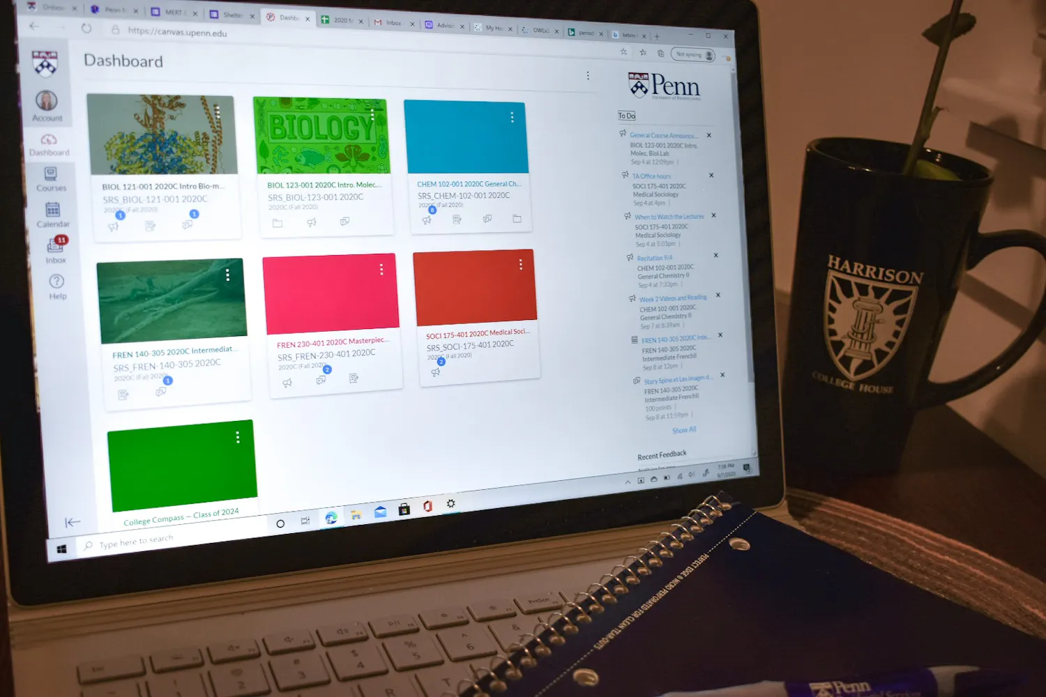 profs using canvas more.jpg