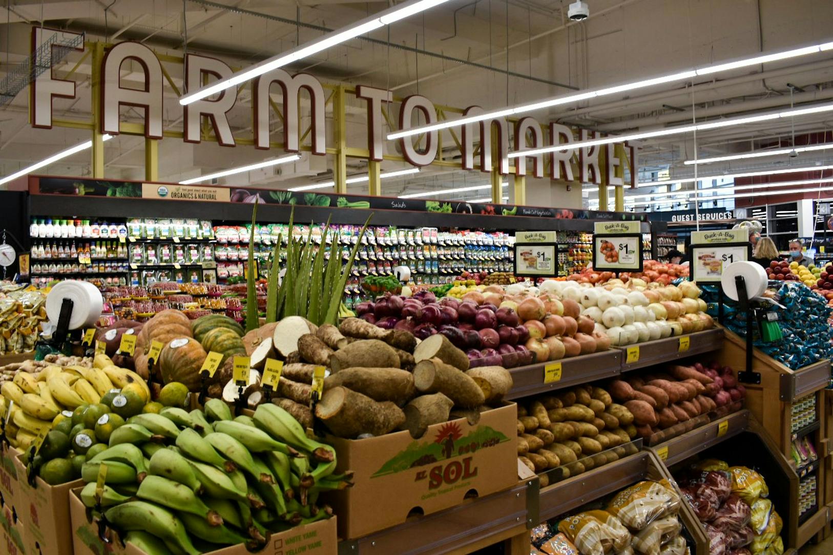 October 2020 ACME (Samantha Turner).jpg