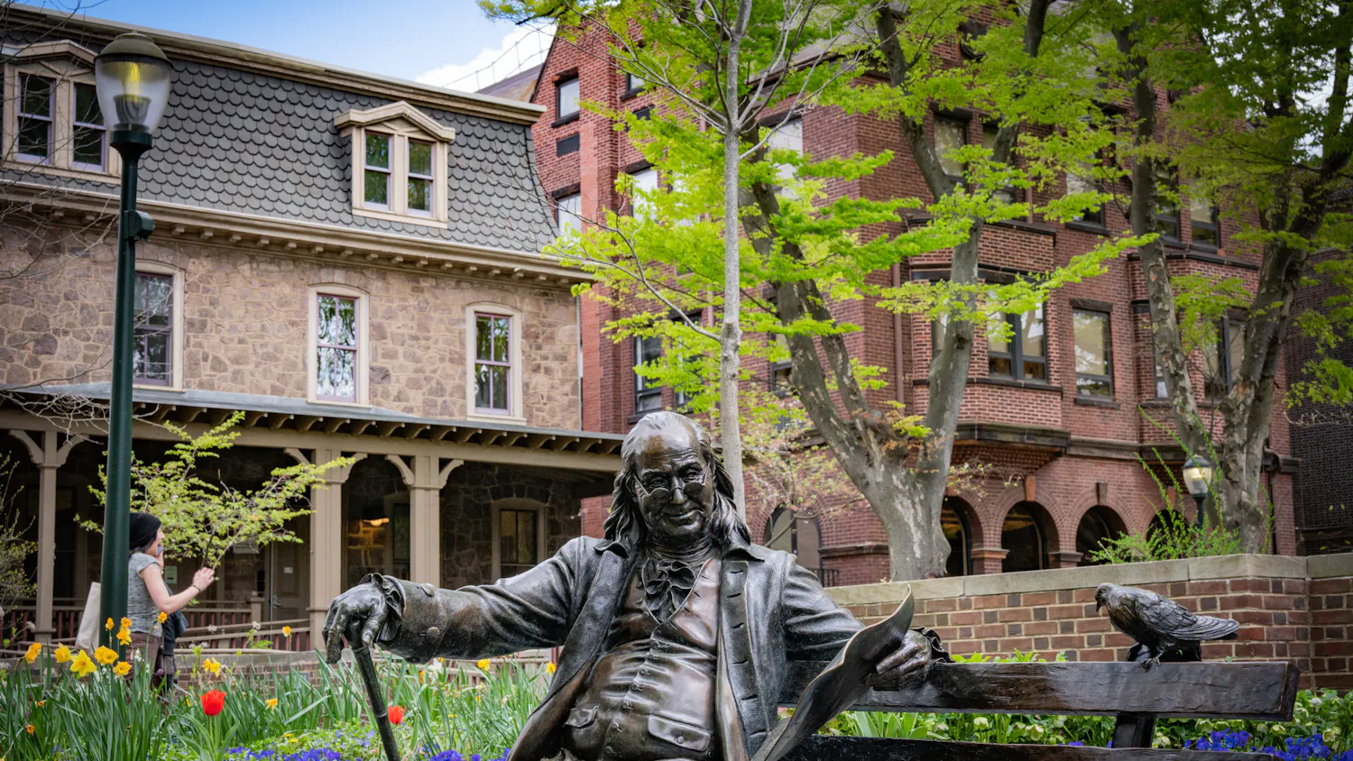 Locust (Jackson Ford).jpg