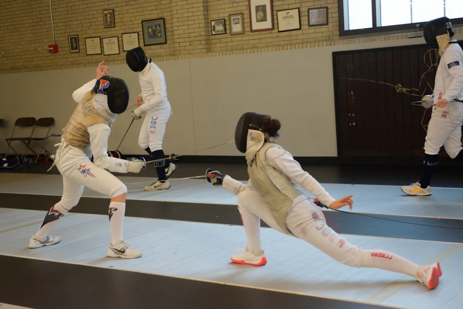 fencing.jpg
