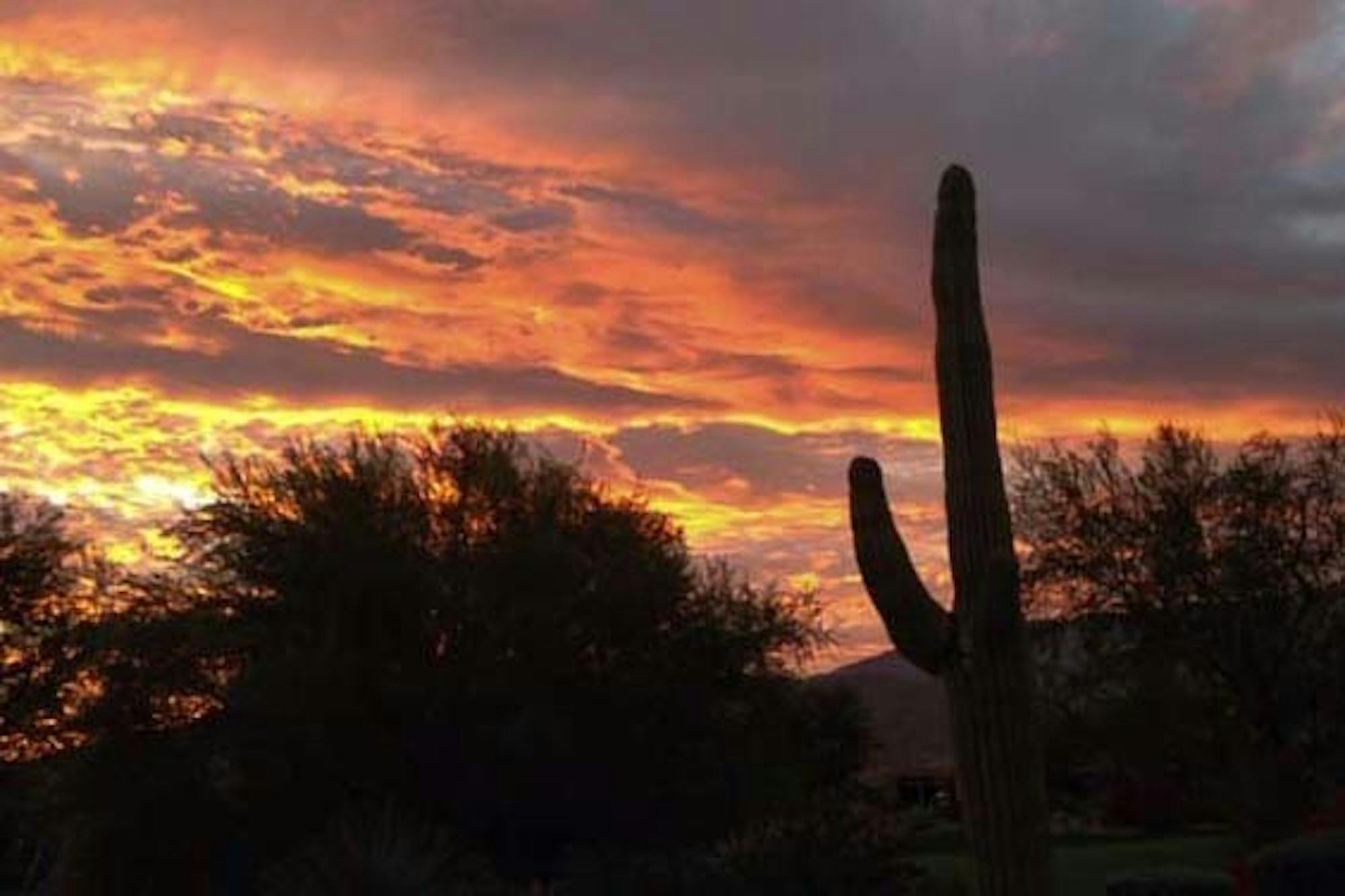 Final Quarantine Photo Essay Didi Owens.jpg