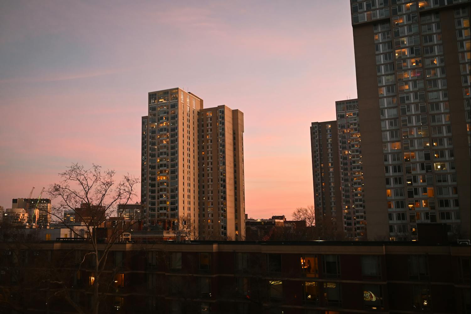 01-28-25 Campus (Jean Park).jpg