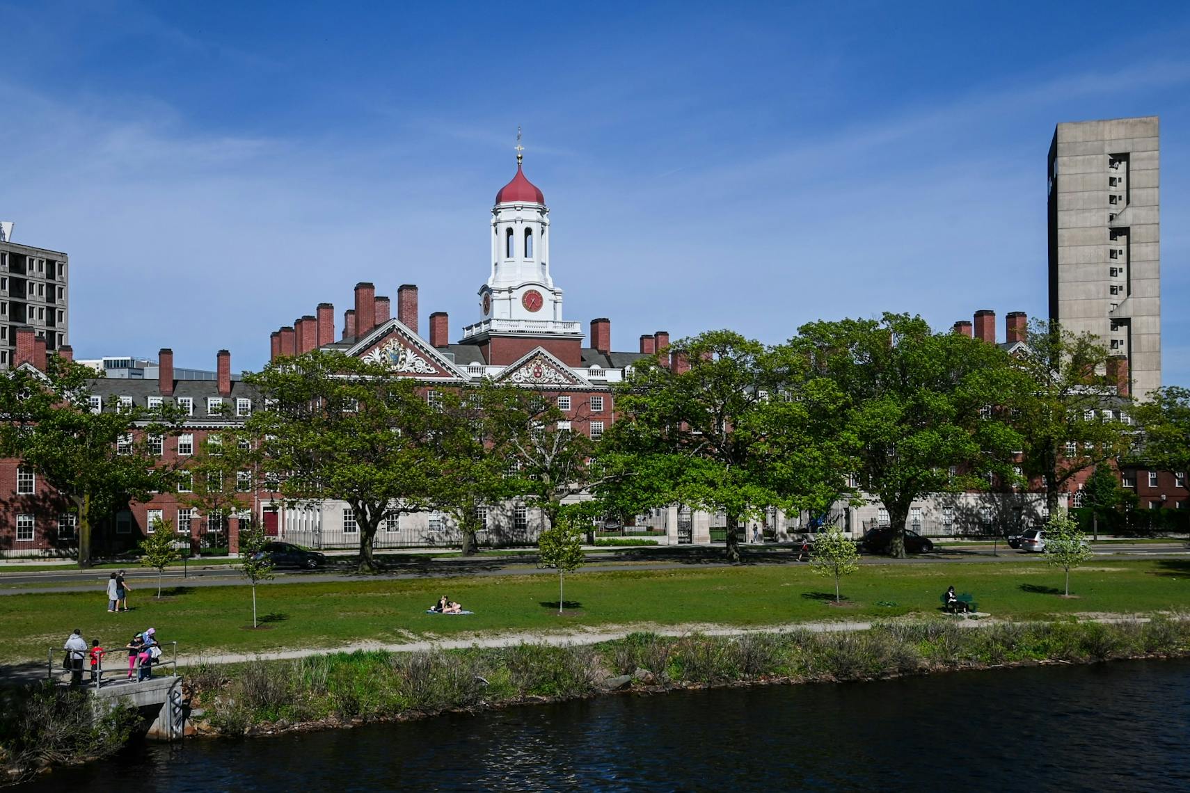 Harvard University Campus Empty Ivies FINAL 003.jpg