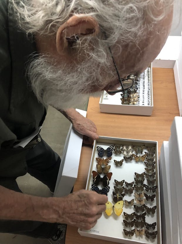 costa rica global seminar