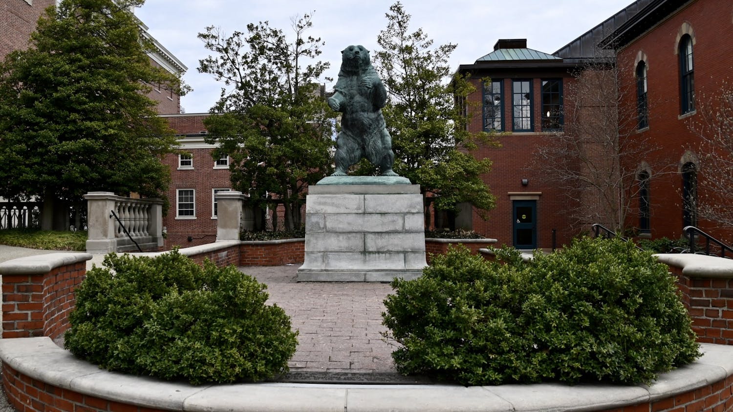 Brown University Bruno Bear.jpg