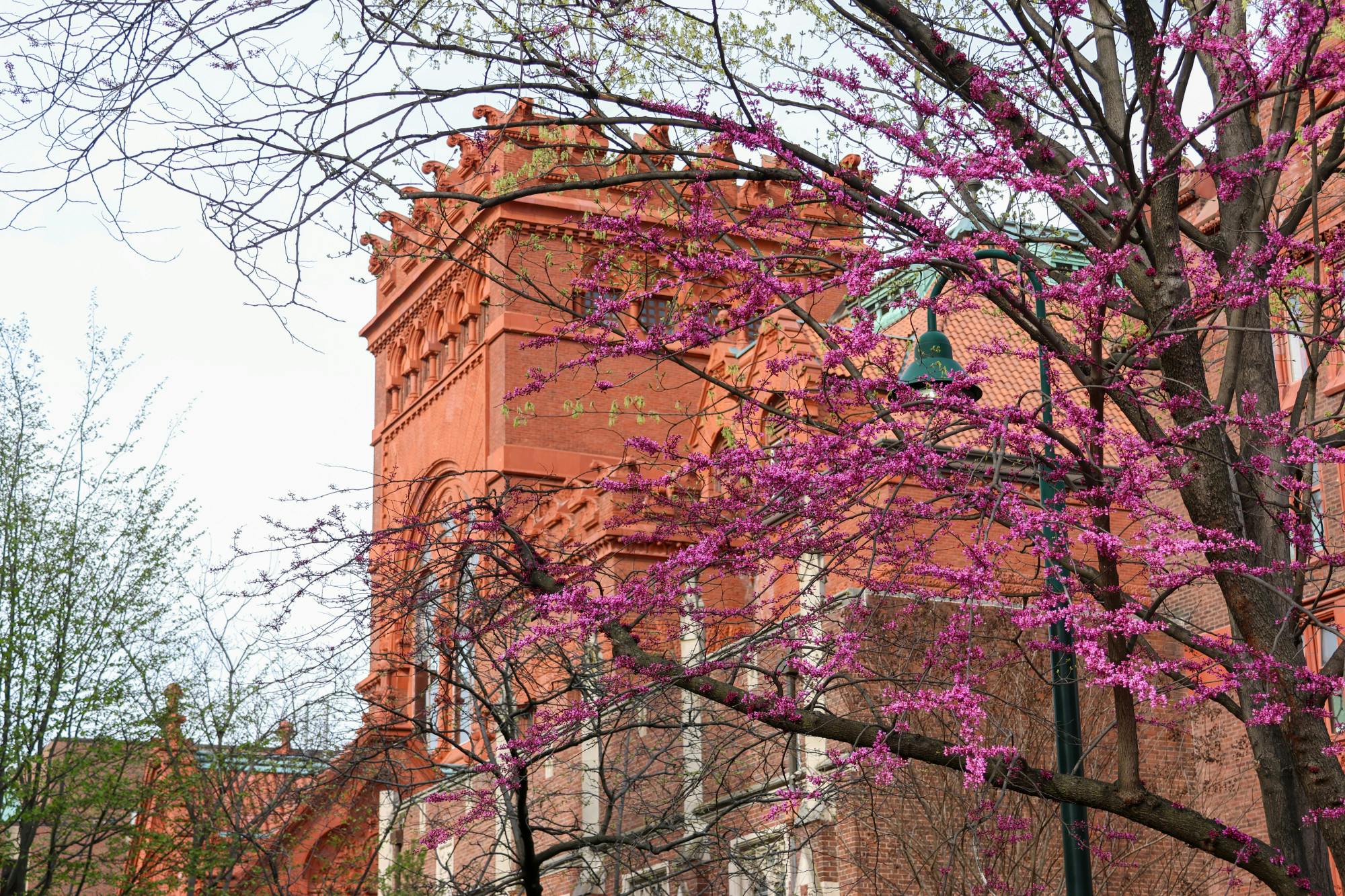 04-05-25 Penn in Spring (Alekha Choksey)-1.jpg