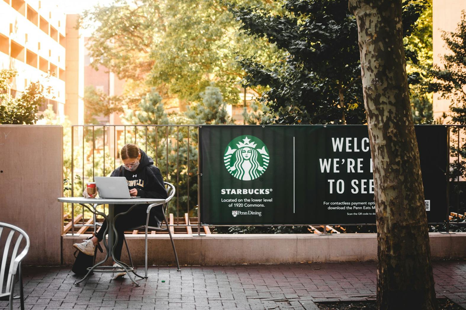 2 Online Classes at Penn (Max Mester) .jpg