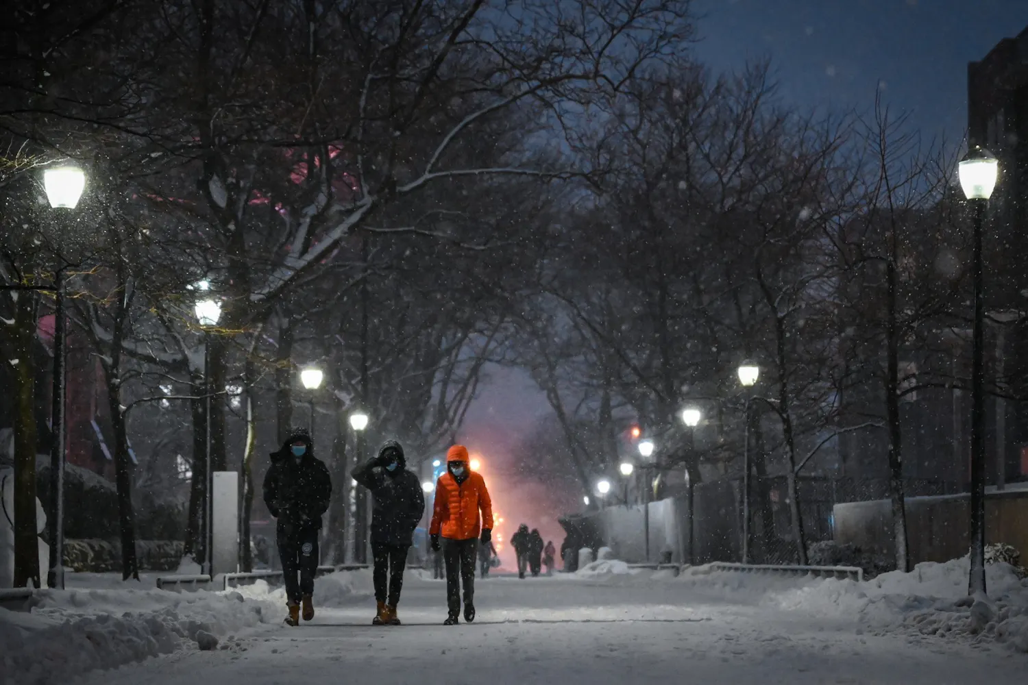 Penn Locust Walk Snowstorm Annual Donations Down.jpg
