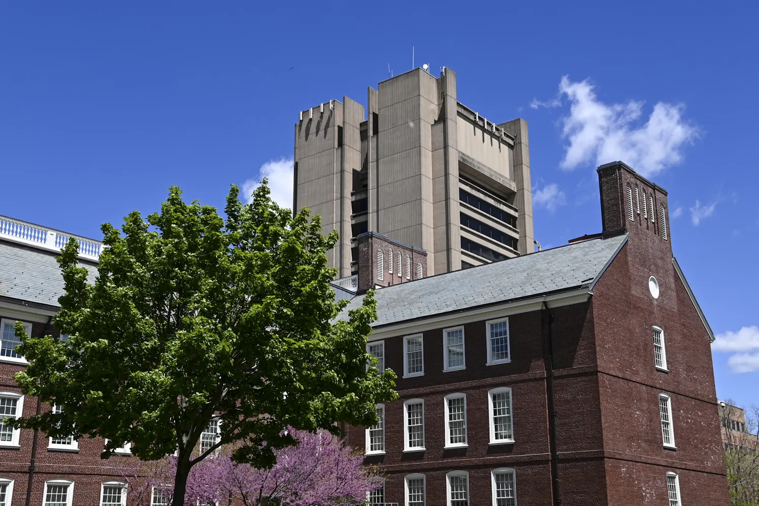 Brown University Spring Campus SciLi Sciences Library.jpg