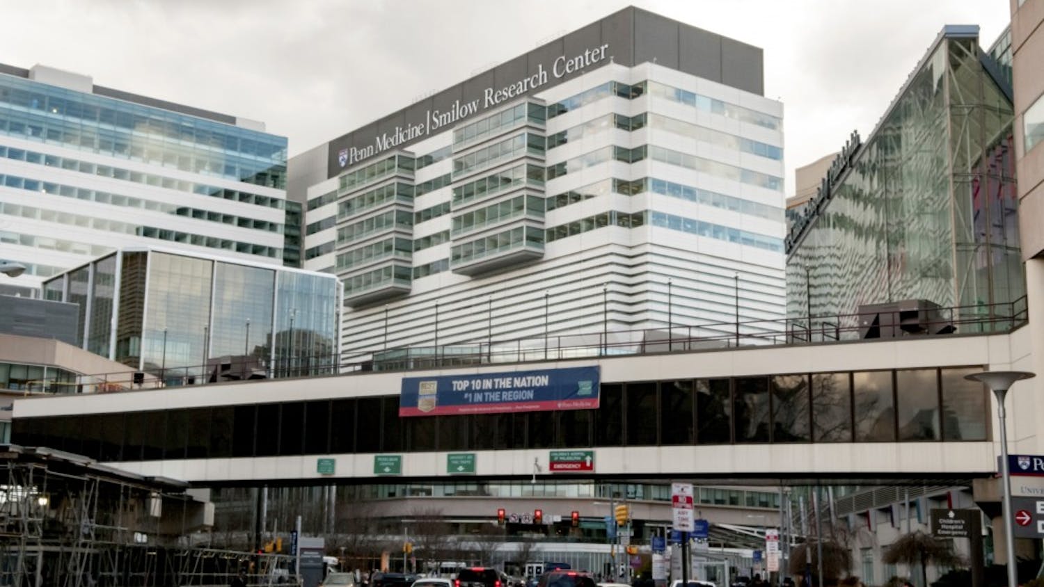 “You come to work not just to ‘survive' your job. It’s to survive and grow, because Penn has this culture of excellence," says Maria Molina, an award-winning nurse practitioner.