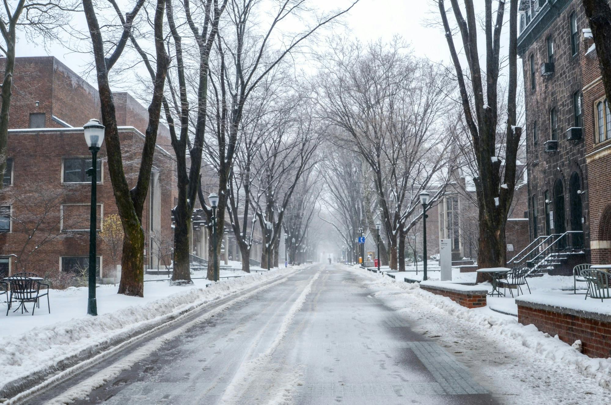 Locust Walk Winter Snow.jpg