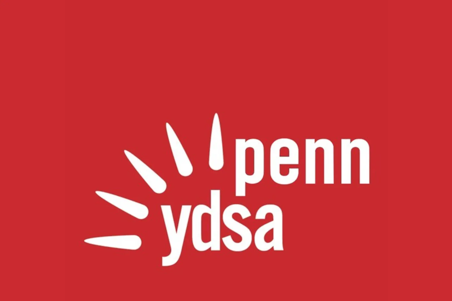 YDSA logo.jpg