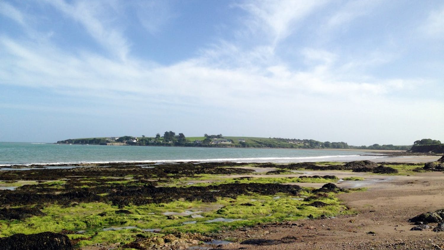 Students are advised to take health precautions, such as mosquito protection, before traveling abroad for spring break. | Courtesy of Sean MacEnTee/Creative Commons