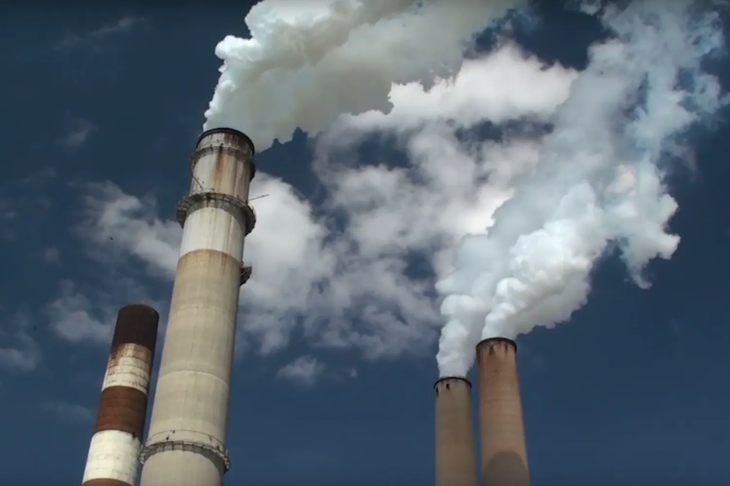 Courtesy of Creative Commons