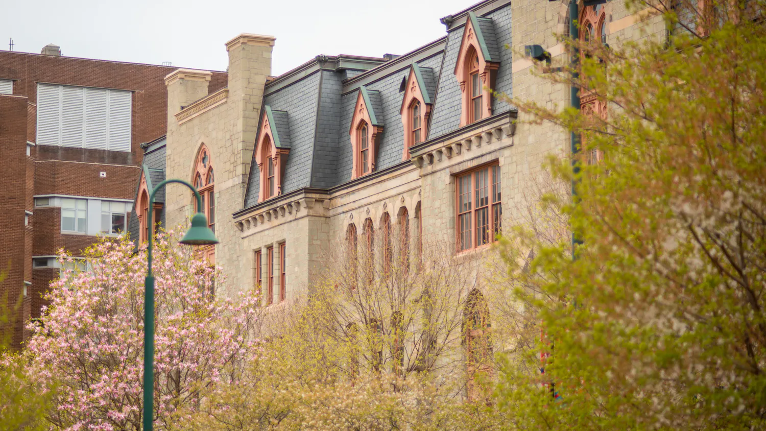 04-15-25 Campus (Chenyao Liu)