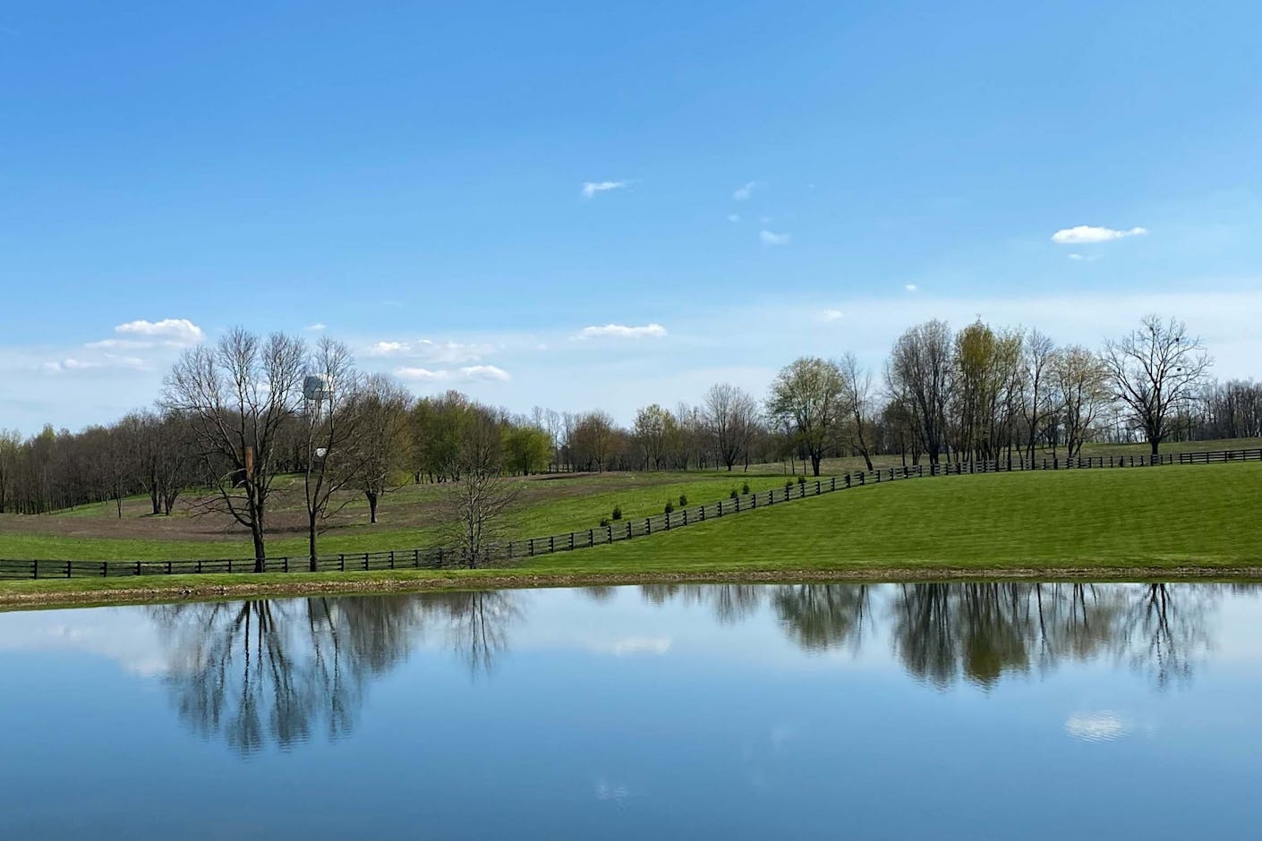 Quarantine Photo Essay Maria Murad Photo.jpg