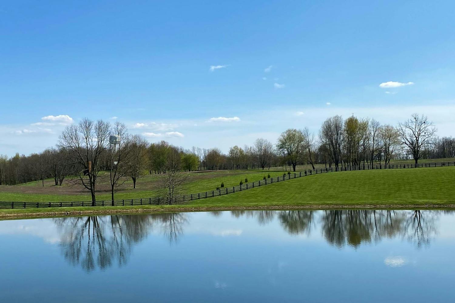 Quarantine Photo Essay Maria Murad Photo.jpg