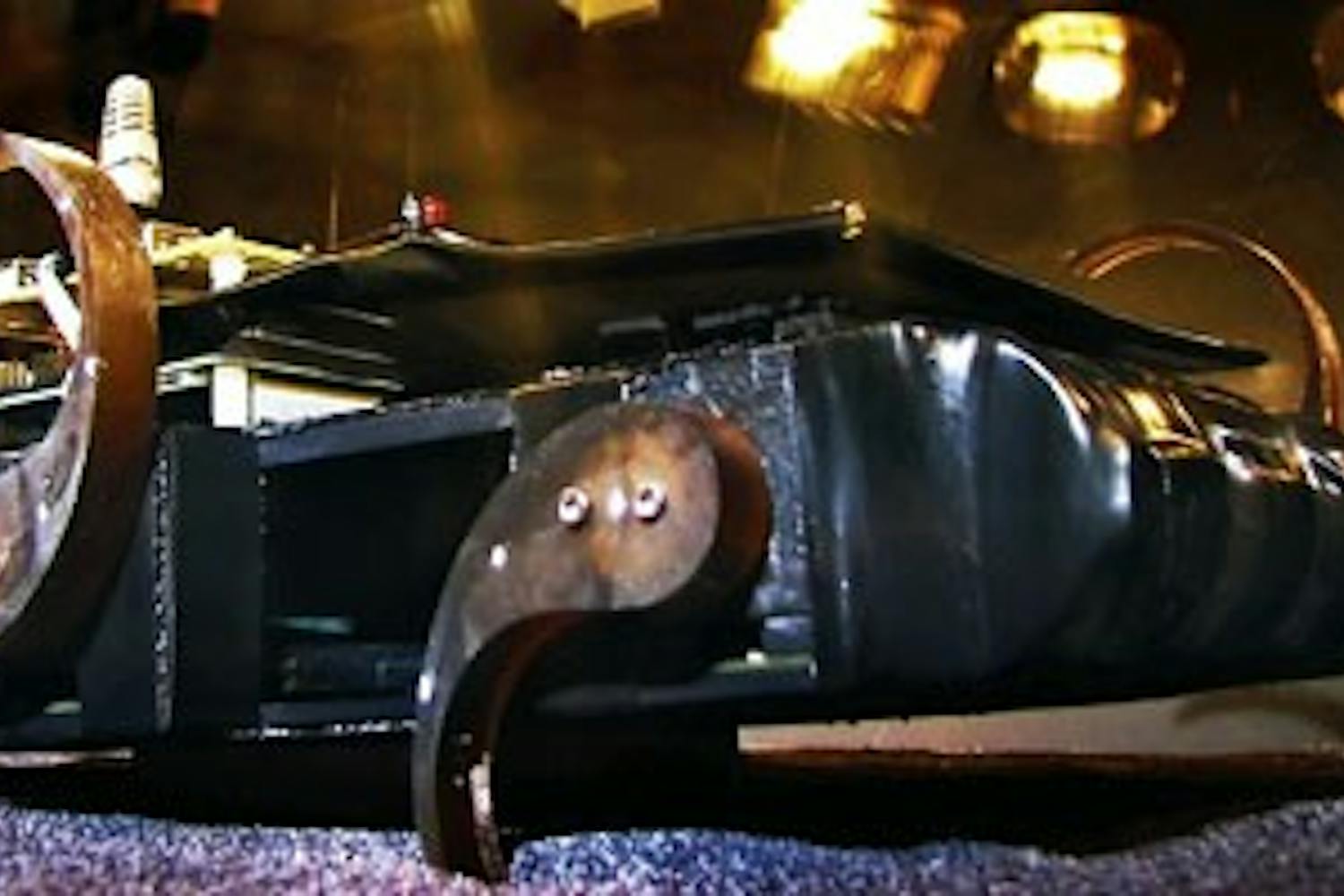 Researchers draw inspiration for their robot from animals