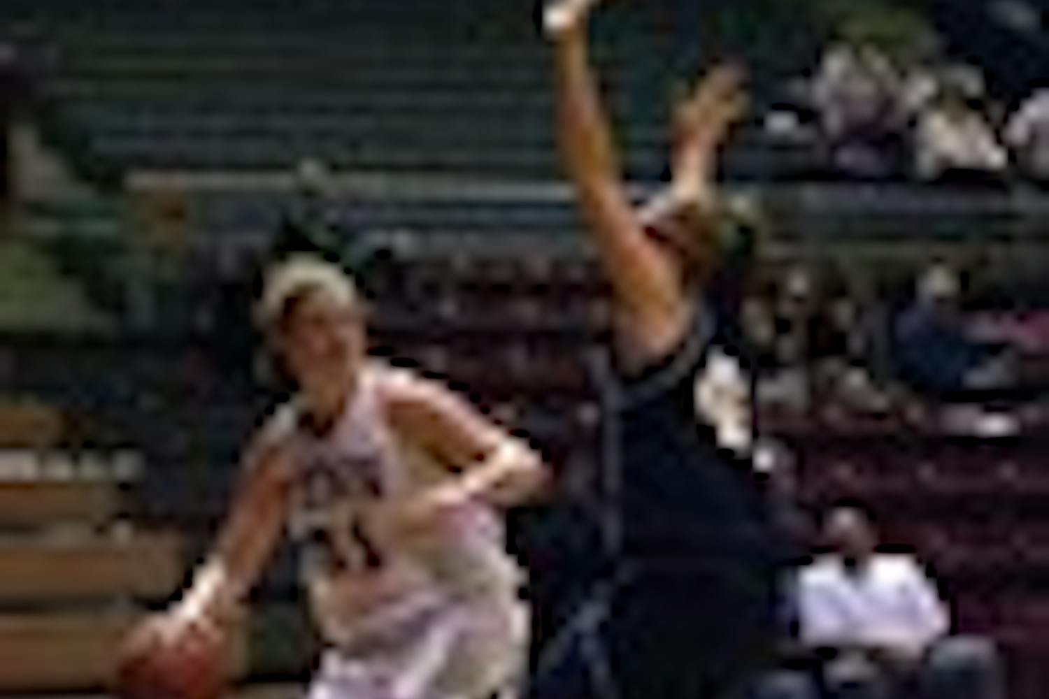 Hoops stars reunite in Euro league