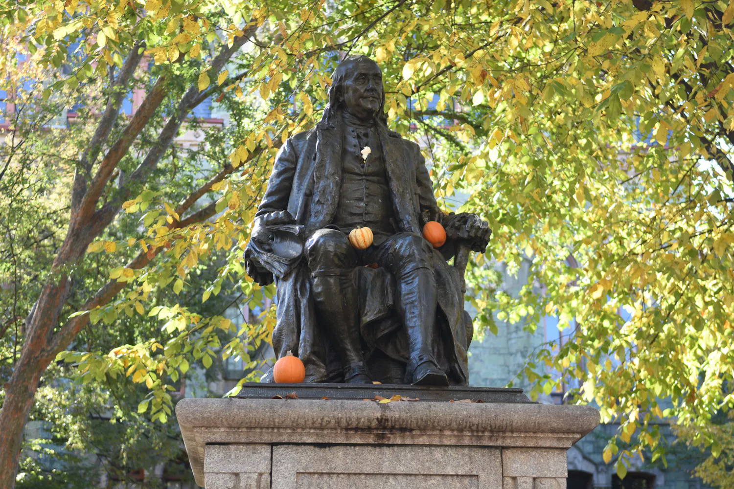 10-28-23 Pumpkin BF (Julia Nguyen).jpg