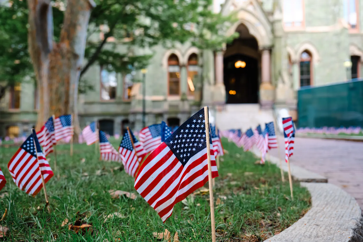 09-11-23 Flags on College Green (Abhiram Juvvadi)-1.jpg