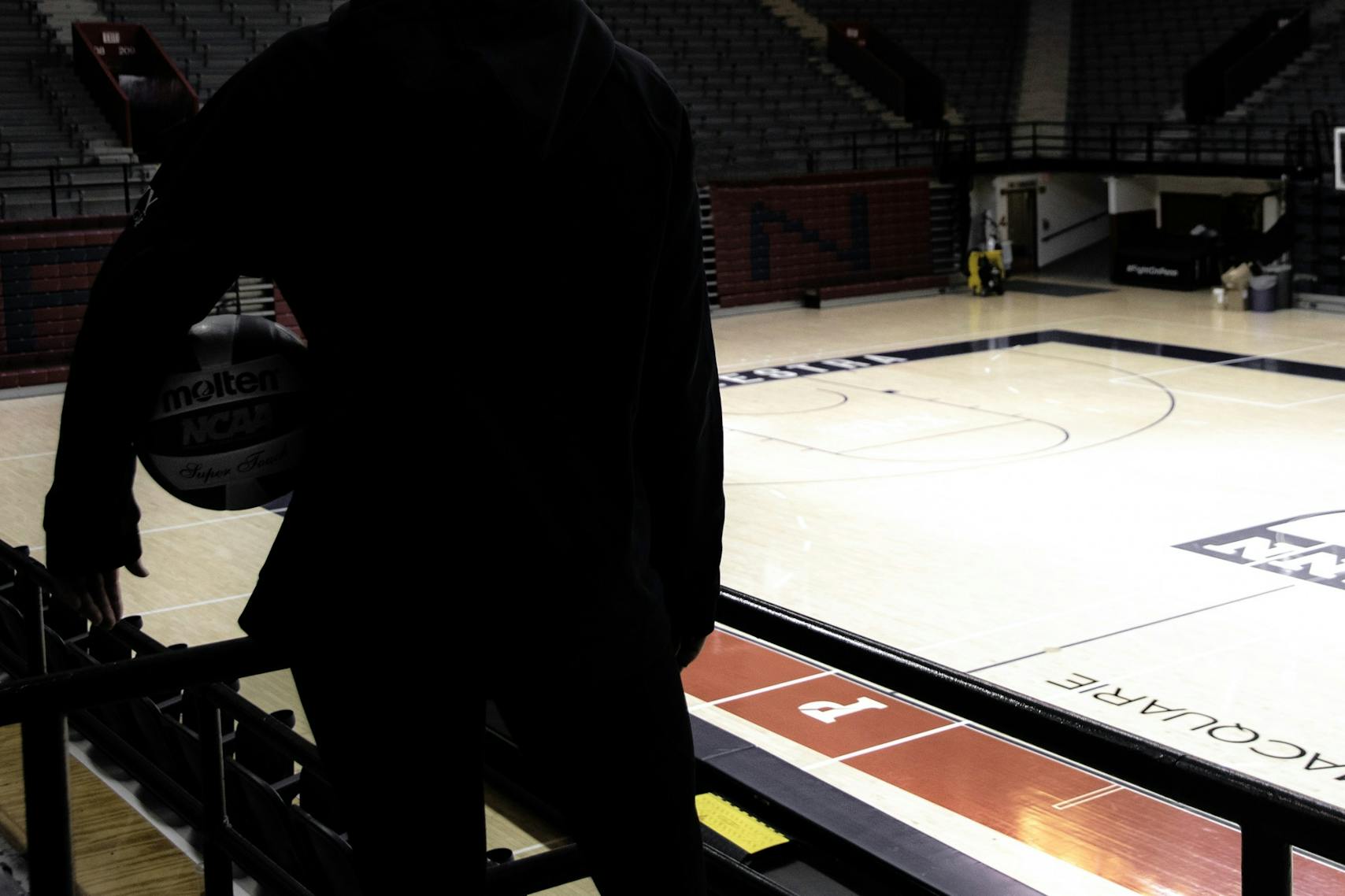 Volleyball Silhouette Palestra.jpg