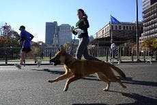 The last-minute push for voter turnout