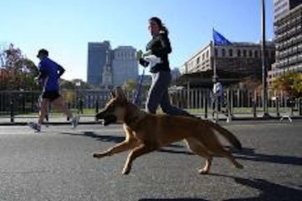 The last-minute push for voter turnout