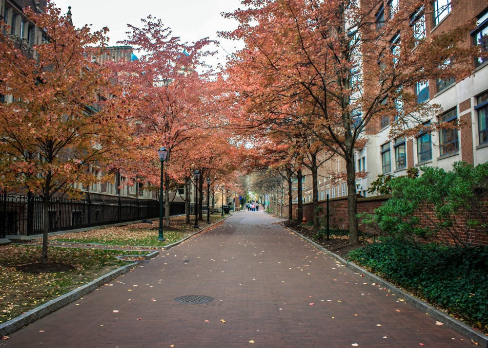 campus-fall-empty