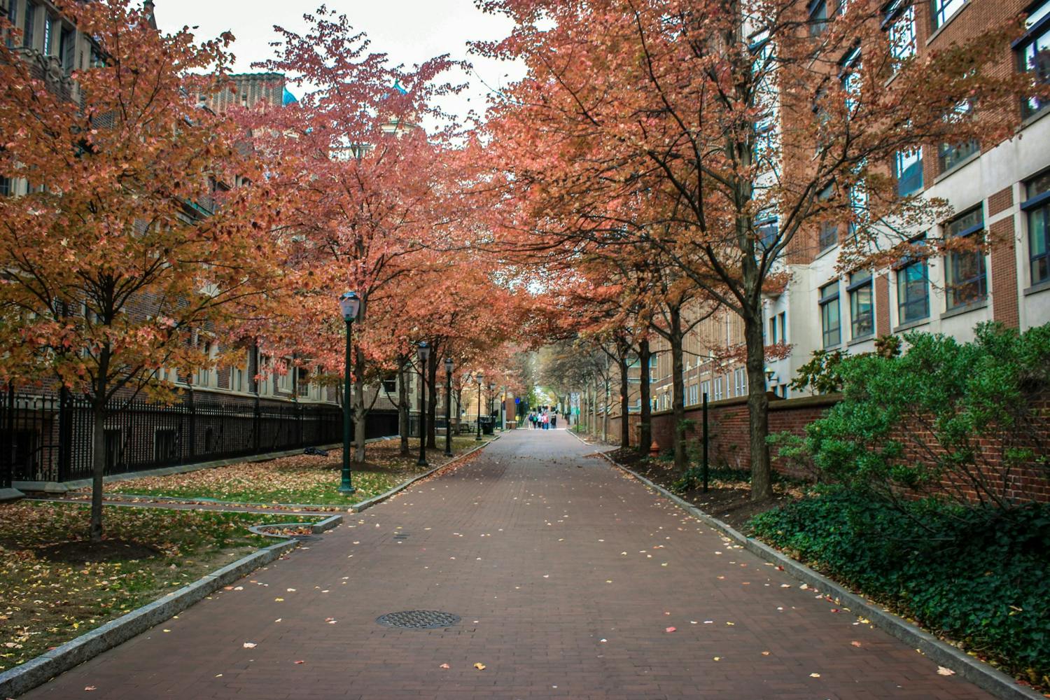campus fall empty.jpg