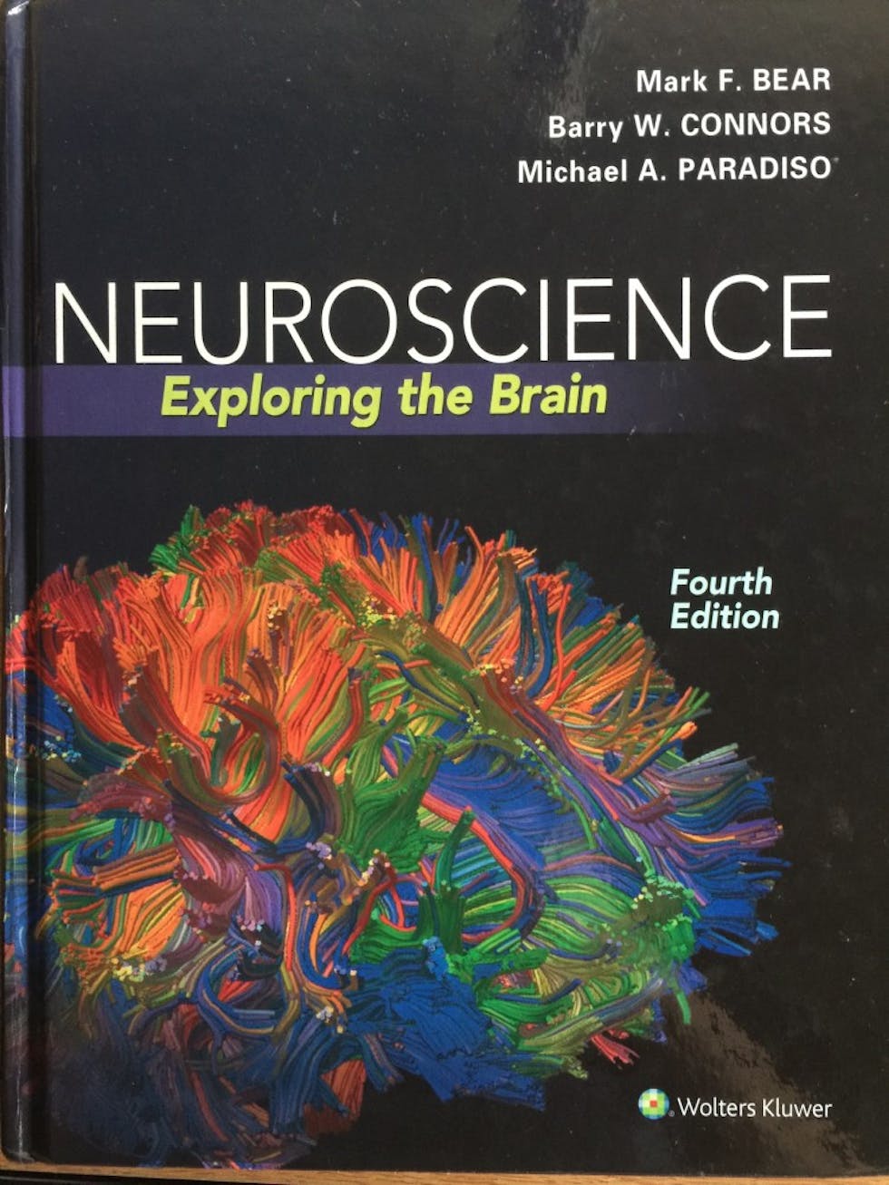 neuroscience bbb textbook