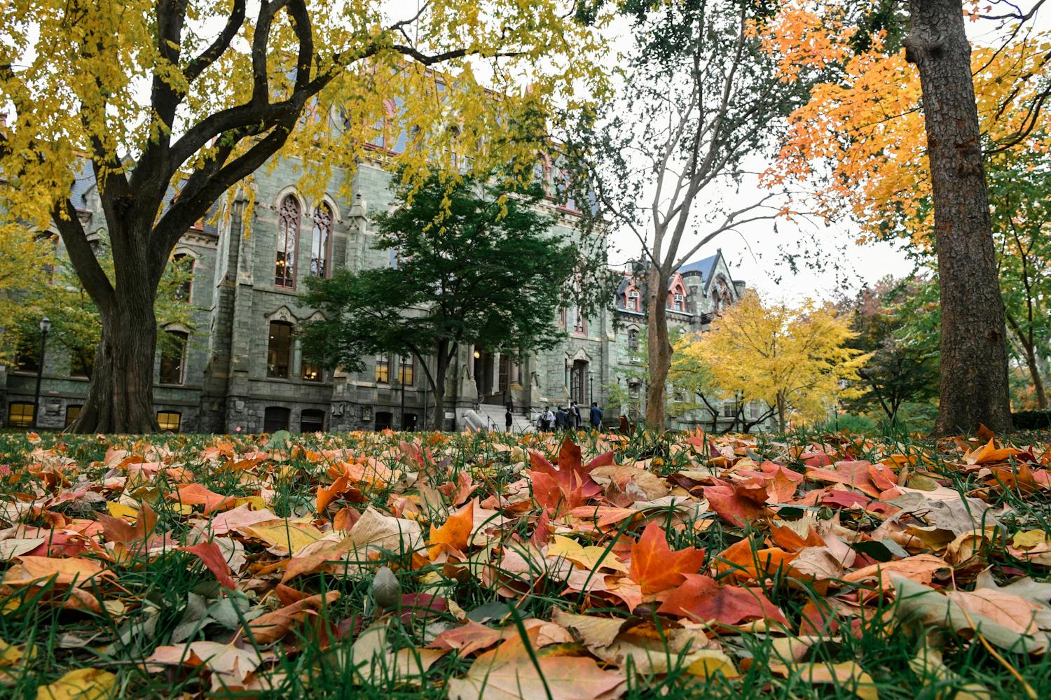Fall College Green (Chase Sutton).jpeg