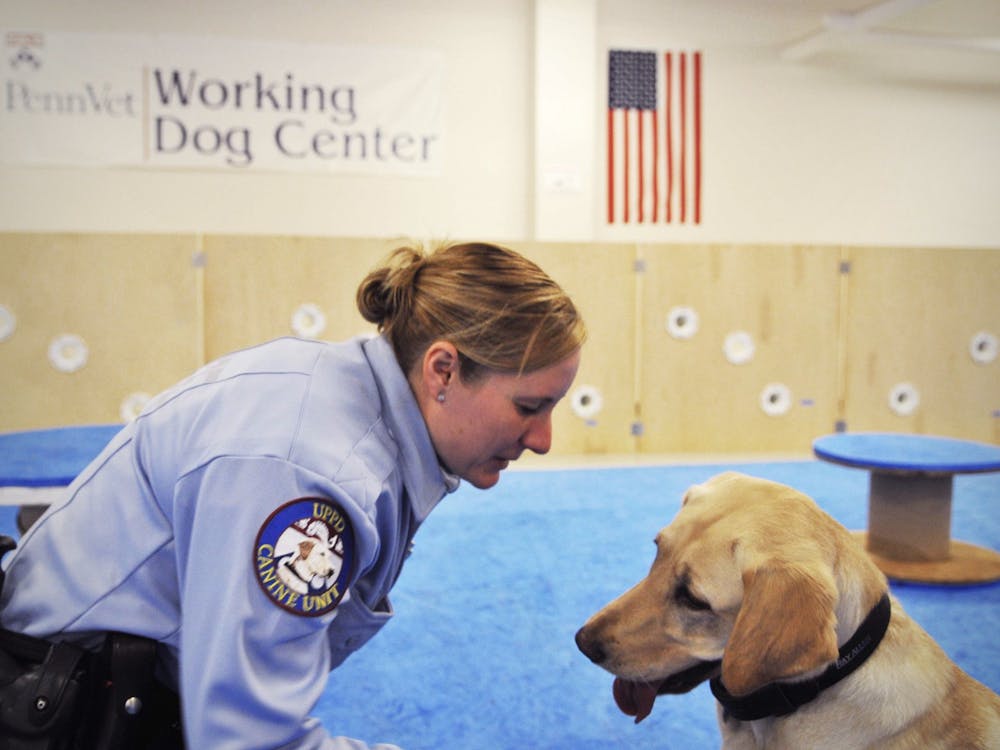 Penn Vet Study Finds Minimal Long Term Health Risks For 911 Search And