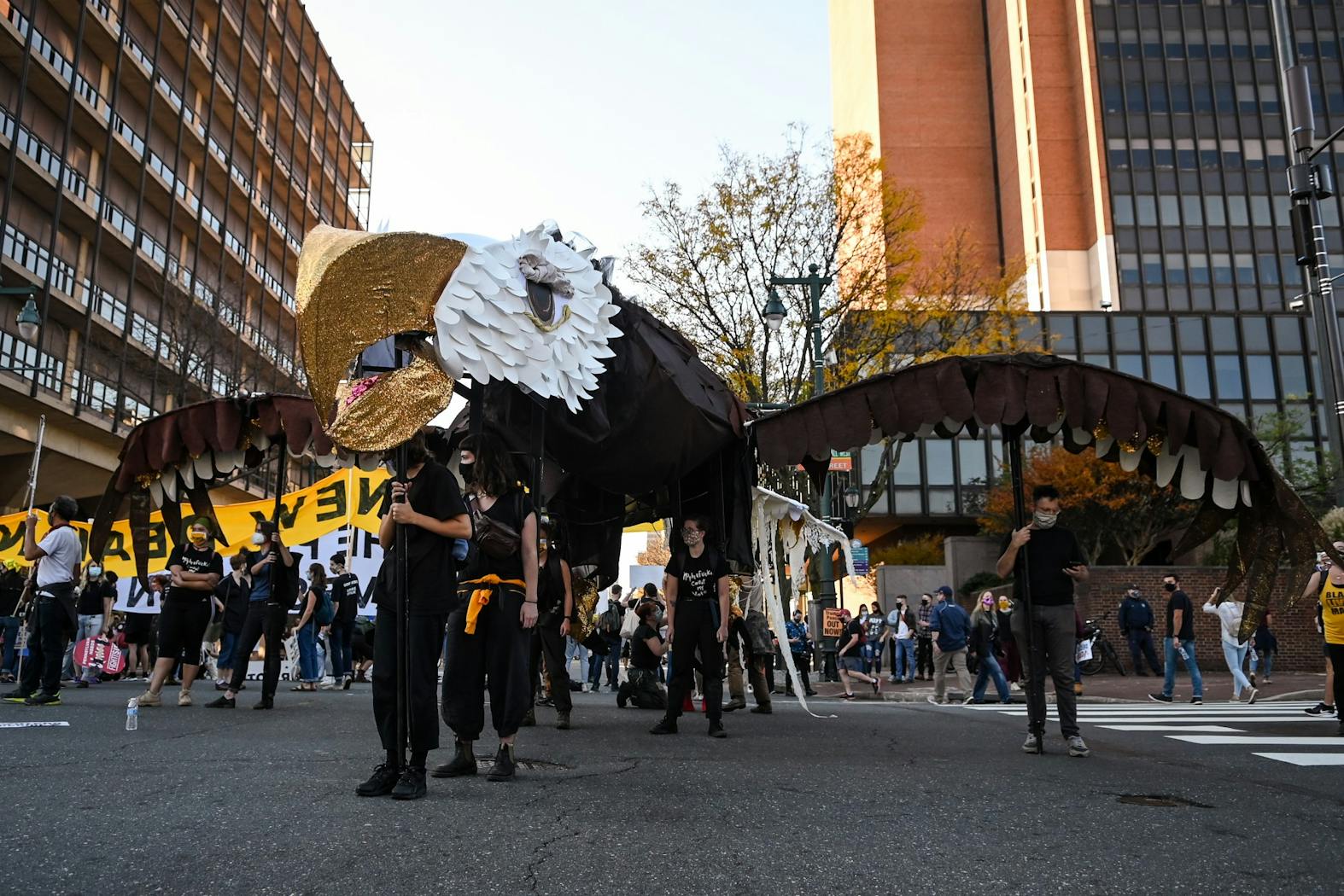 11-07-20 Joe Biden Election Celebration Eagle.jpg