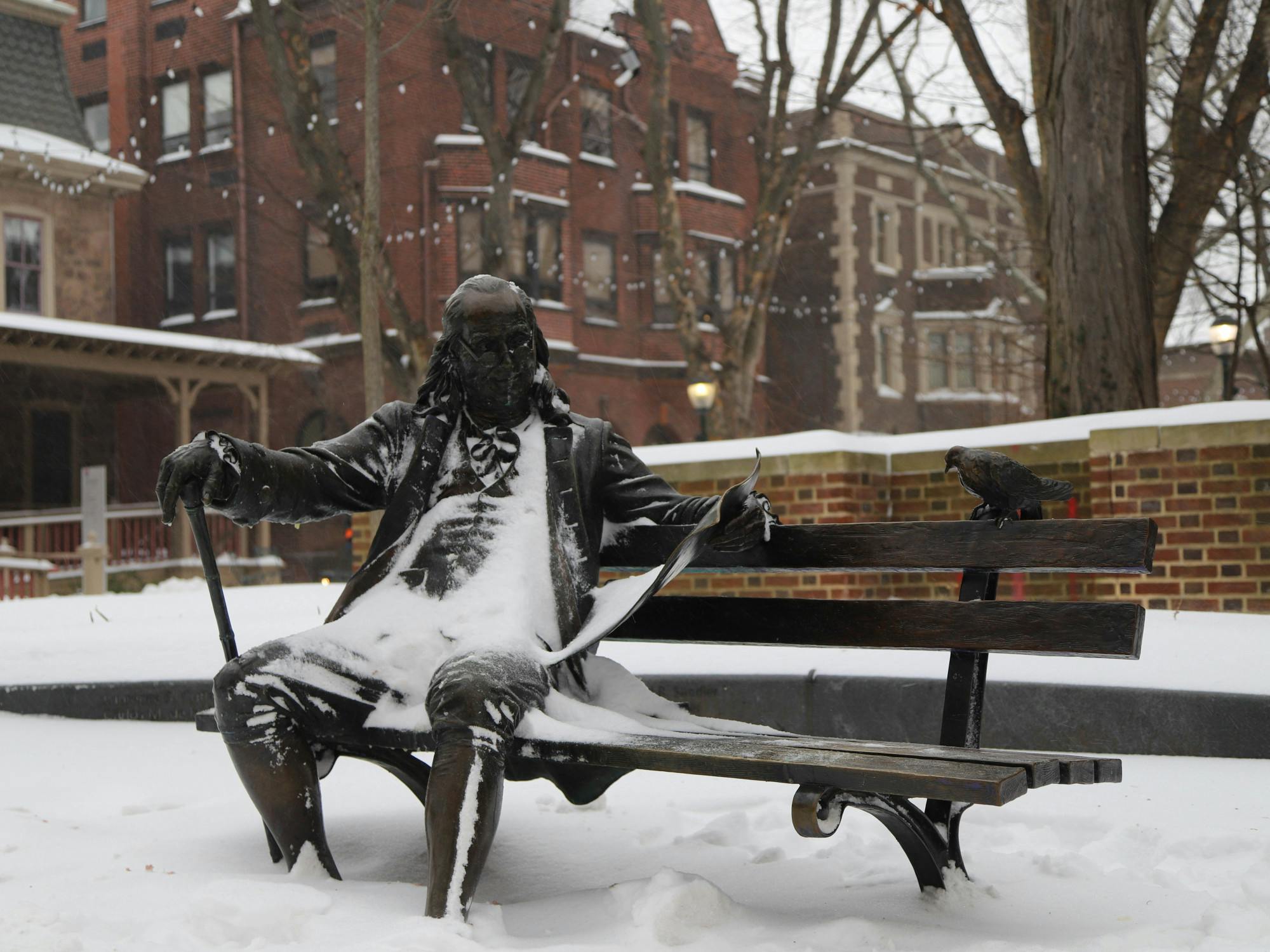 01-25-26 Snowy Penn (Connie Zhao)-1.jpg