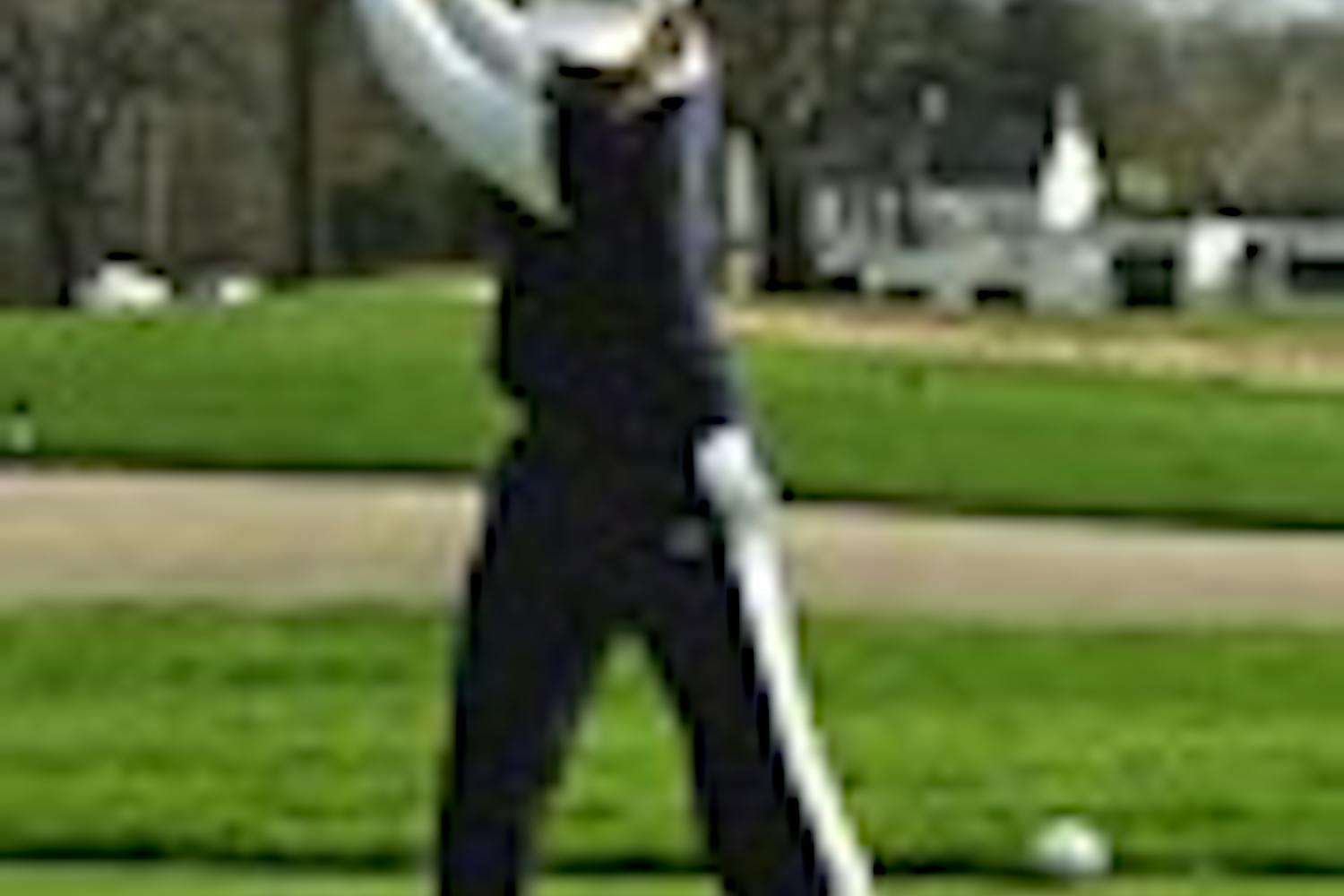 Culmination of their careers