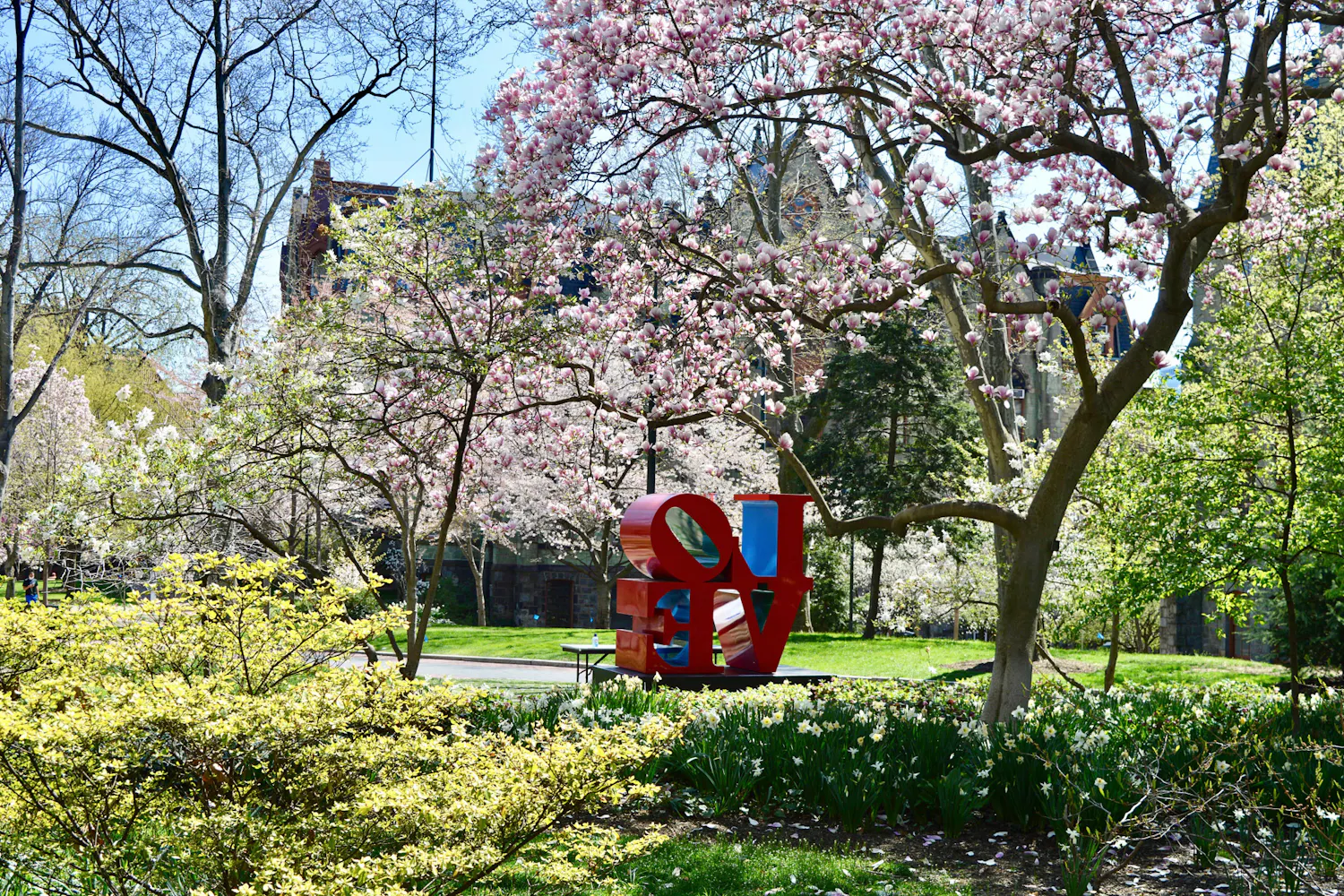 04-08-2021 Flowers on Campus (Maya Pratt).jpg