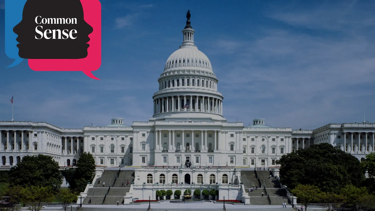 Common Sense1.jpg