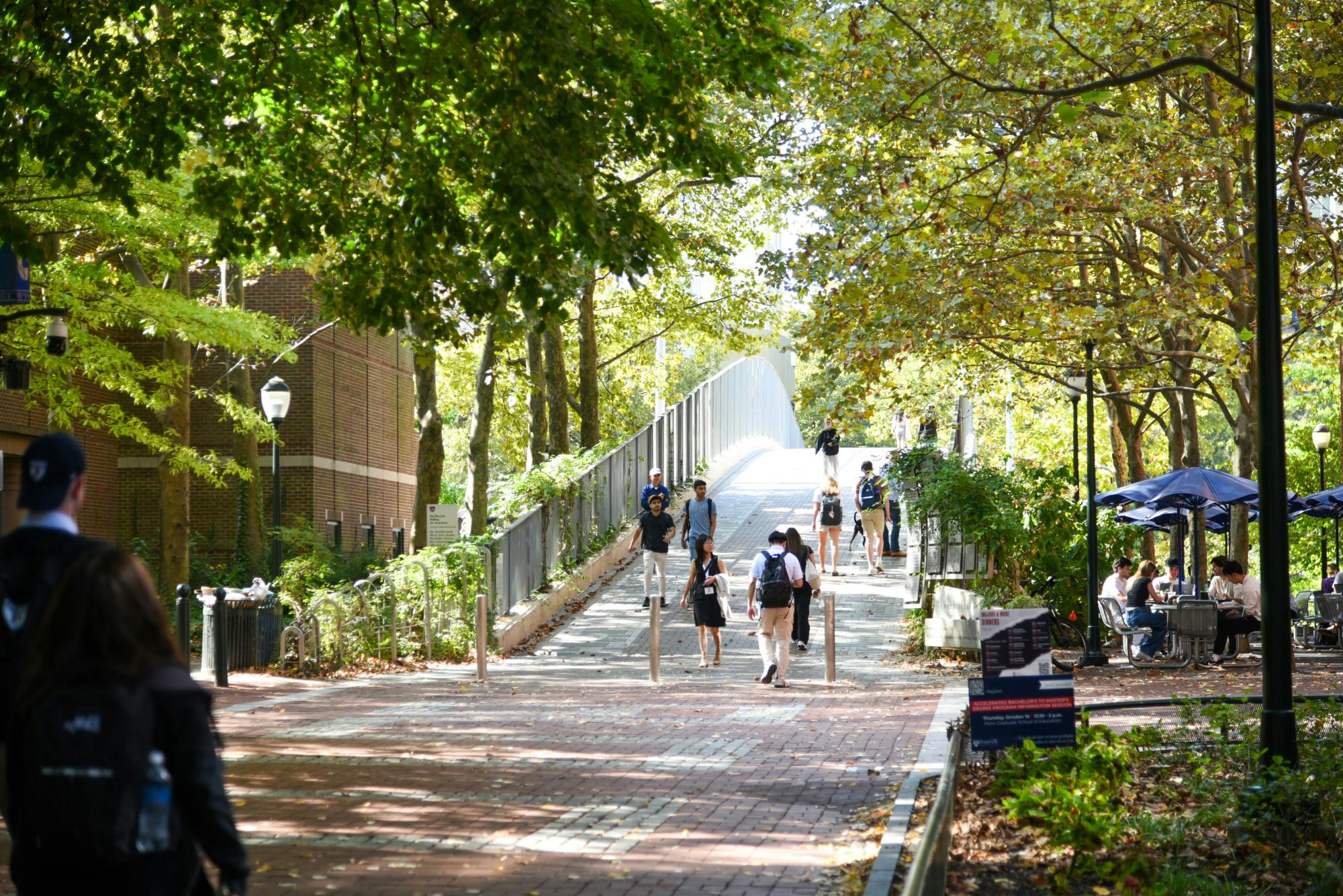 10-07-24 Locust Walk (Chenyao Liu)-85.jpg