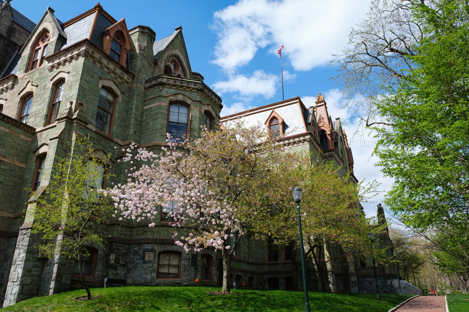 04-11-20 College Hall Spring (Son Nguyen).jpg