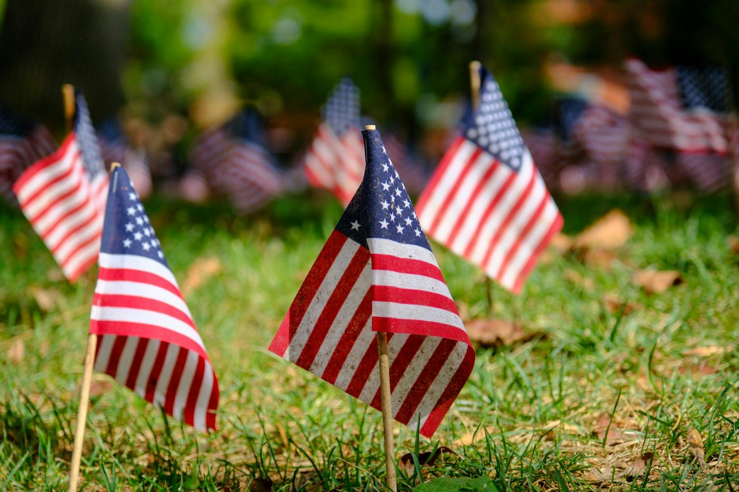 09-11-23 Flags on College Green (Abhiram Juvvadi).jpg