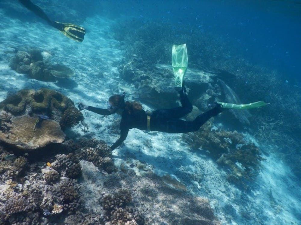 Courtesy of Allison Sweeney // Professor Allison Sweeney scuba dived in the island of Palau for her research on giant clams.