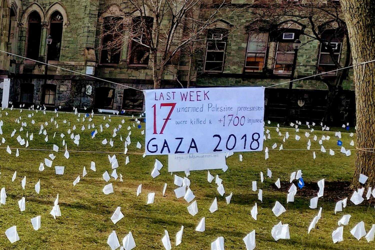 flag demonstration.jpg