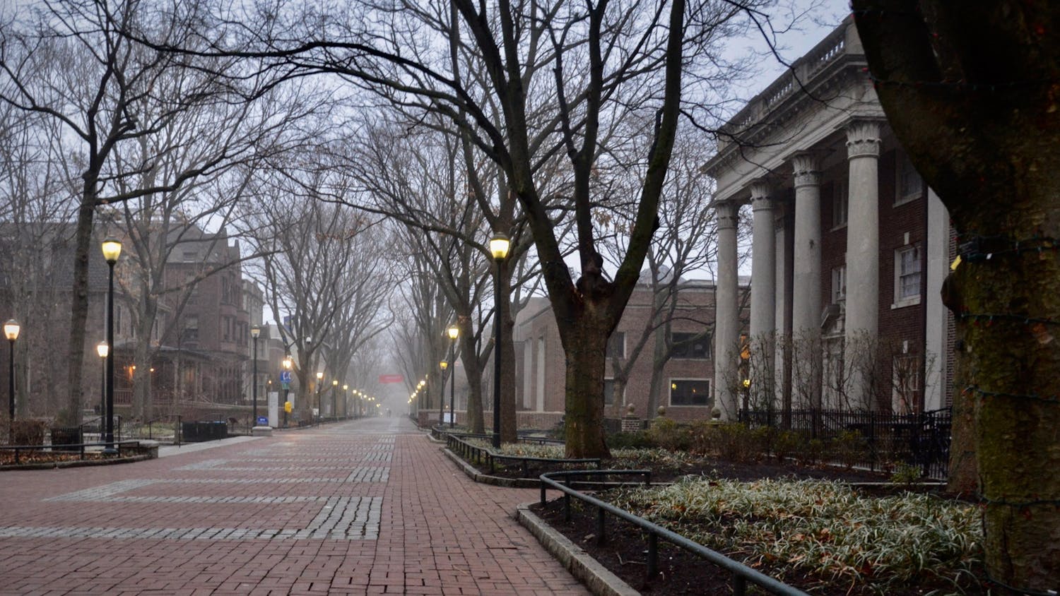 02-09-20 Locust Walk (Kylie Cooper).jpg