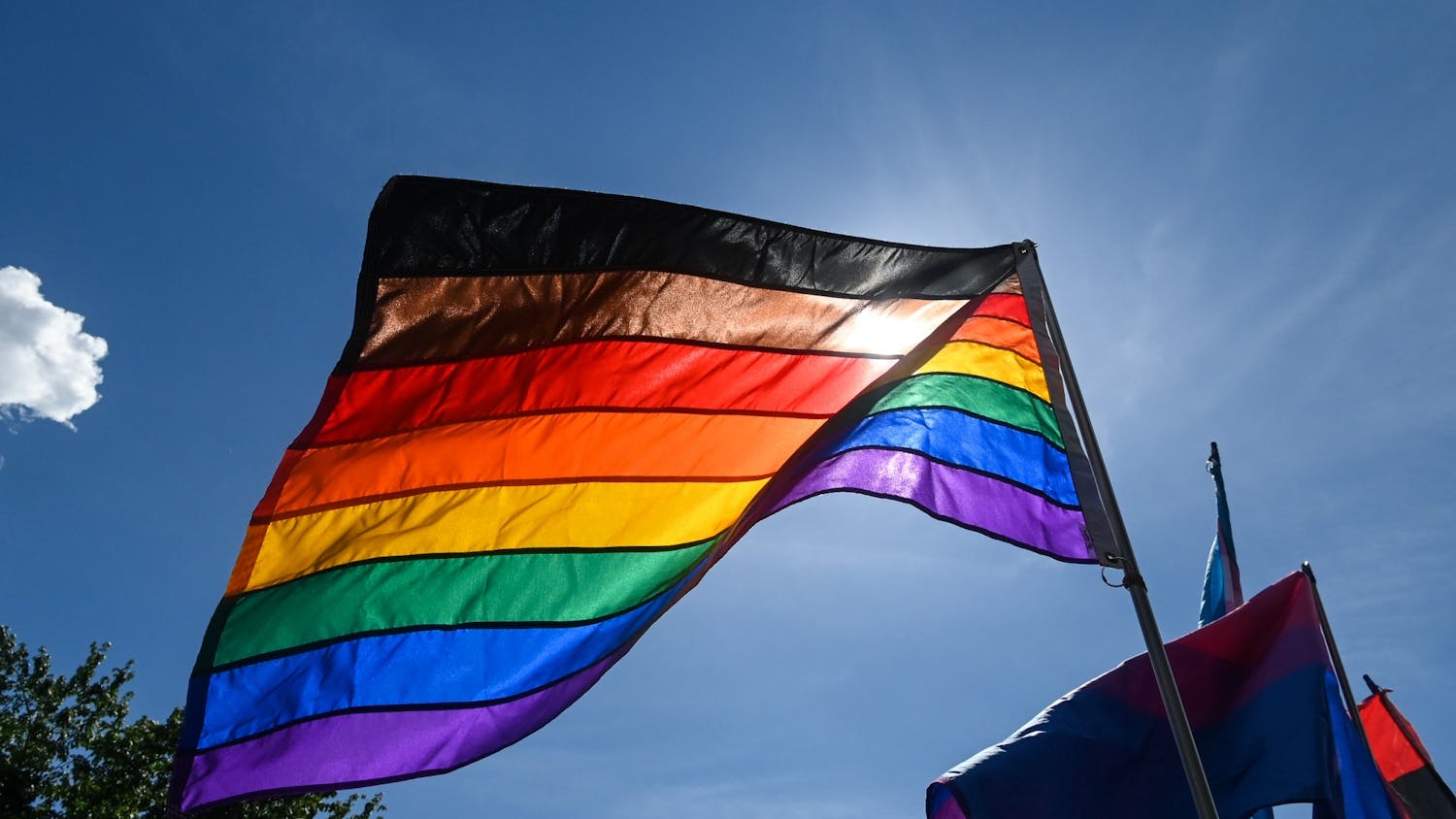 06-21-20 George Floyd Protests Queer Black Lives Matter Pride Flag.jpg