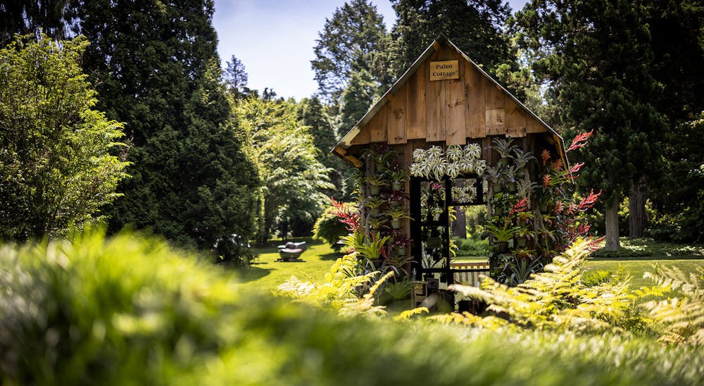 Penn Today photo.jpeg