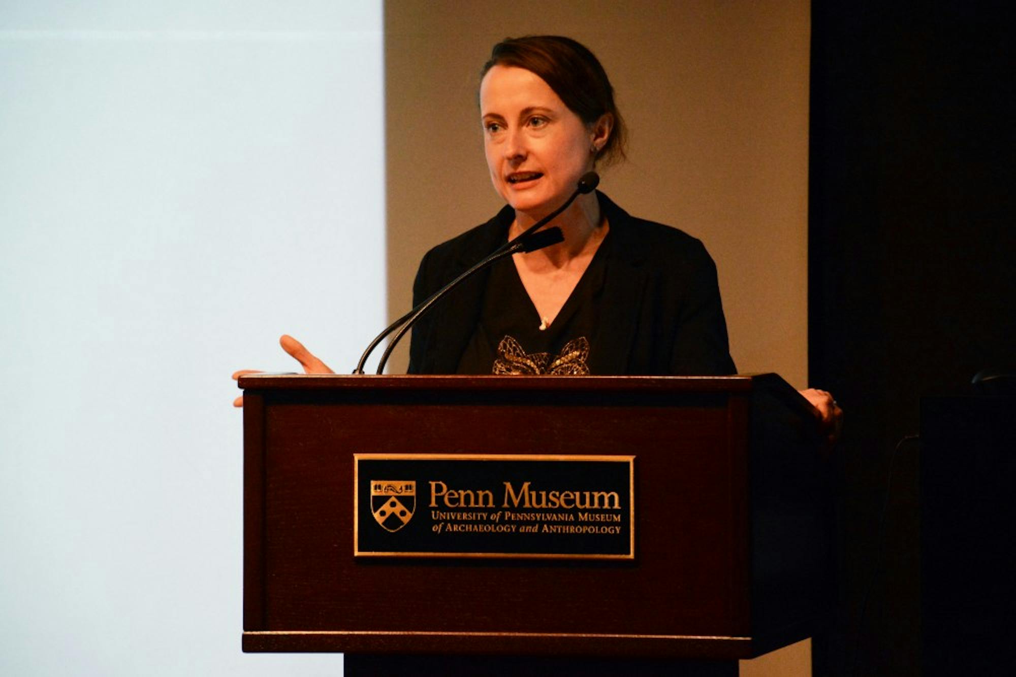 Translating the Odyssey Emily Wilson