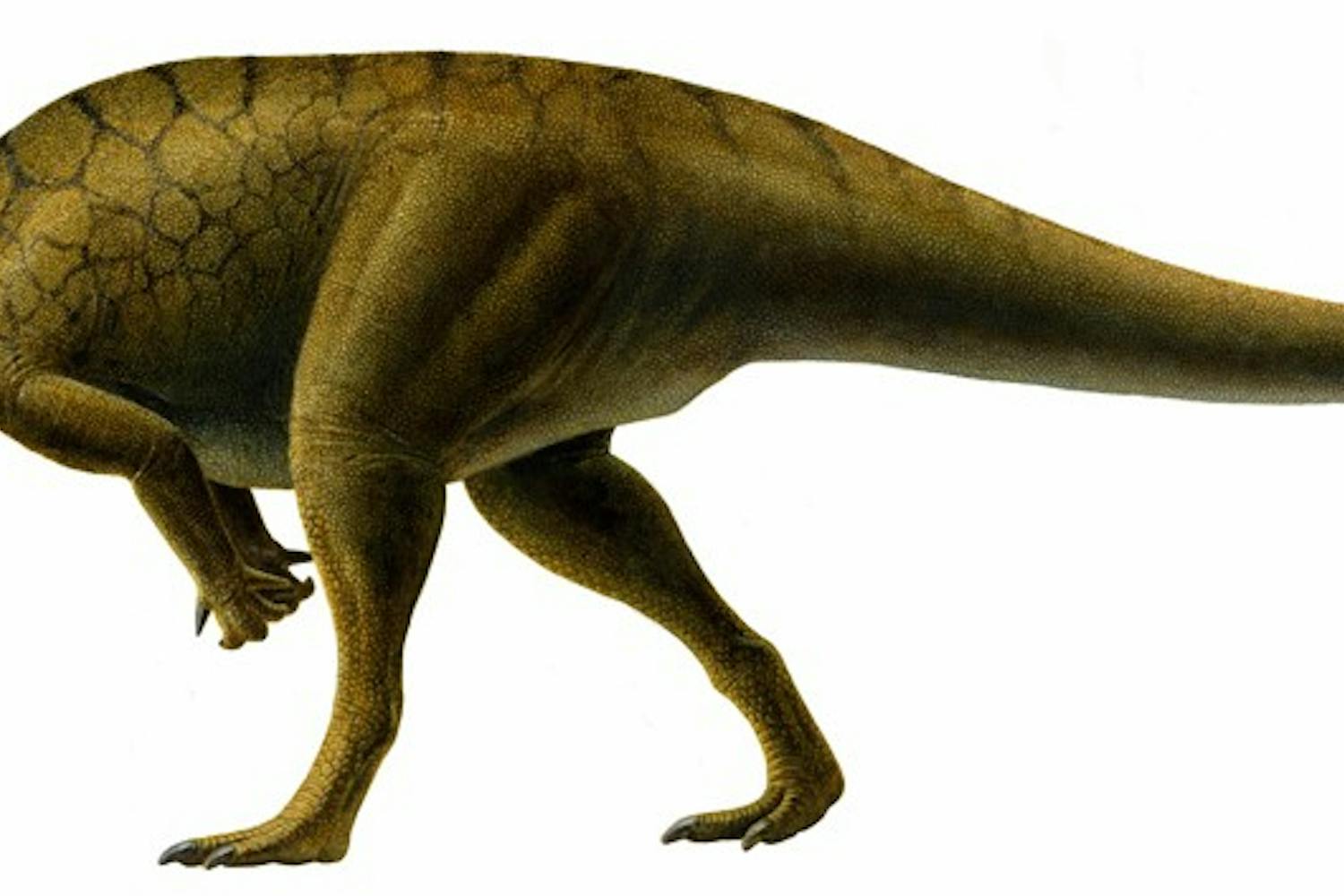 Grad student names two new dinosaurs
