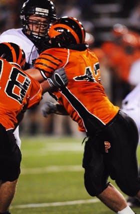 Bears’ Buddy bullies Tigers