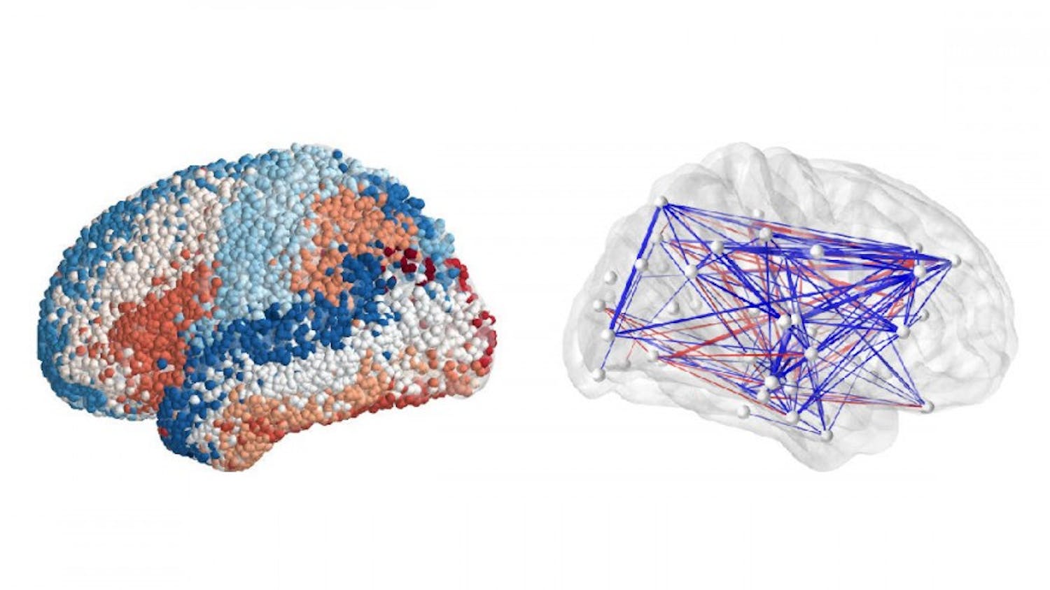 Kahana_BrainMapping 1200x600.jpg